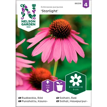 Rudbeckia Röd Starlight 1-p Nelson Garden.