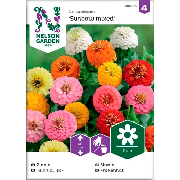 Zinnia Sunbow Blandade färger 1-p Nelson Garden.