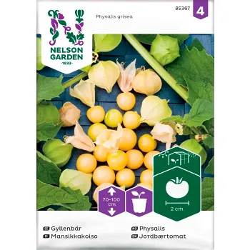 Gyllenbär Physalis Grisea 1-p Nelson Garden.