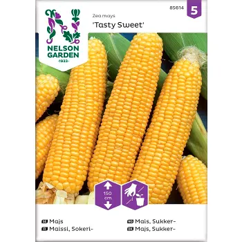 Majs Tasty Sweet F1 1-p Nelson Garden.