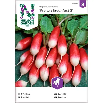 Rädisa French Breakfast 1-p Nelson Garden.