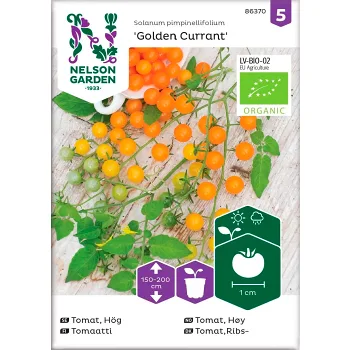 Tomat Vinbärs Gol 1-p Nelson Garden.