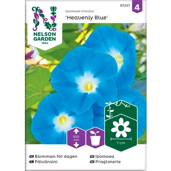 Blomman för dagen 1-p Nelson Garden.