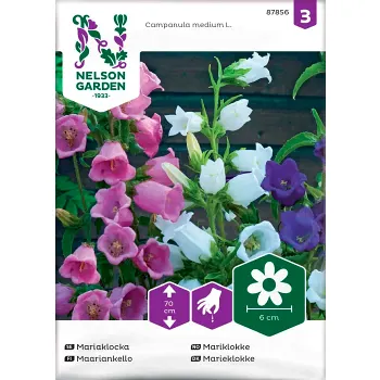Mariaklocka Enkel blandade färger 1-p Nelson Garden.