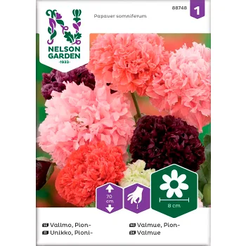 Vallmo Pion Blandade färger 1-p Nelson Garden.
