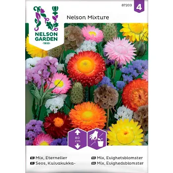 Eterneller Mix 1-p Nelson Garden.
