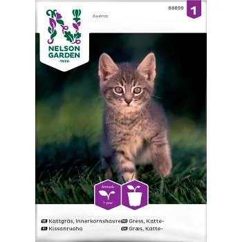 Kattgräs 1-p Nelson Garden.