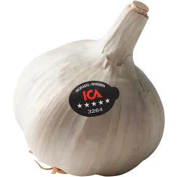 Vitlök Morado 1-pack Klass 1 ICA.