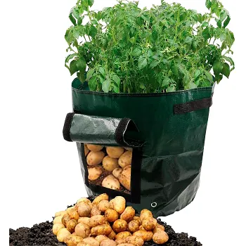 Odlingsbag Potatis Zeline.
