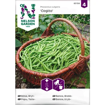 Böna Bryt Cogito Nelson Garden.