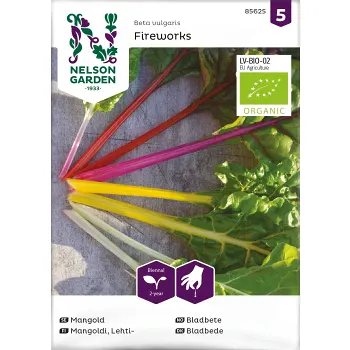 Mangold Fireworks Organic Nelson Garden.