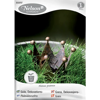 Dekorationsgräs Nelson Garden.