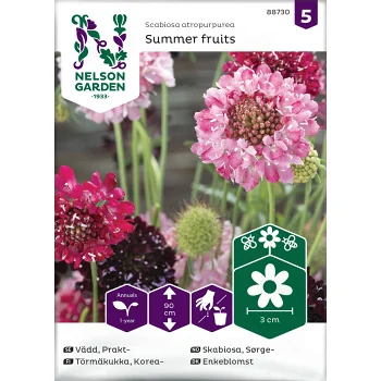 Vädd Prakt-Summer fruits Nelson Garden.