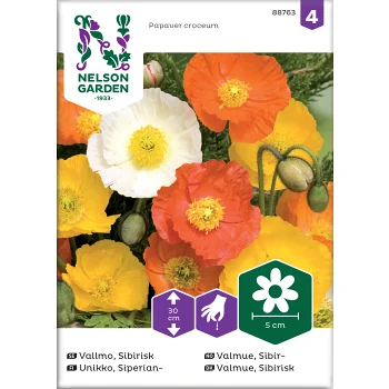 Vallmo Sibirisk Mix Nelson Garden.