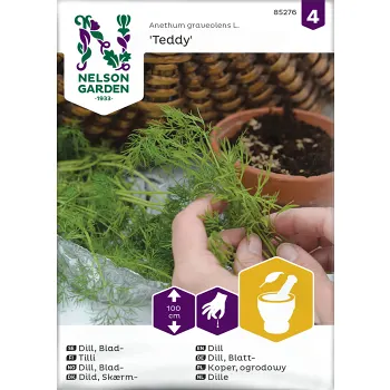 Dill, Blad-, Teddy Nelson Garden.