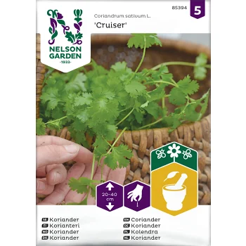 Koriander, Cruiser Nelson Garden.