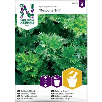 Selleri, Blad-, Gewone Snij Nelson Garden.