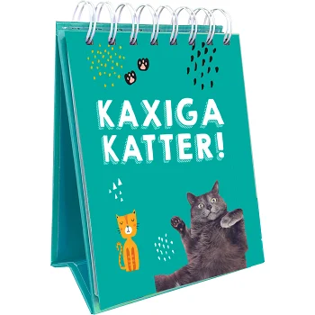 Kaxiga katter.