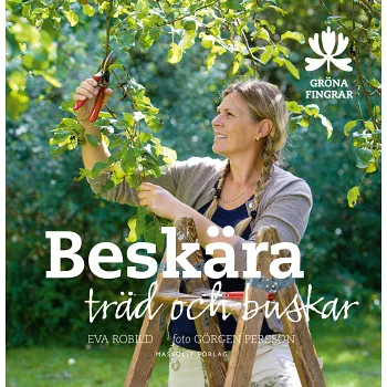 Beskära träd och buskar.