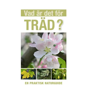 Vad är det för träd?.