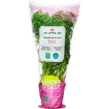 Dill i kruka ca 30g ICA.