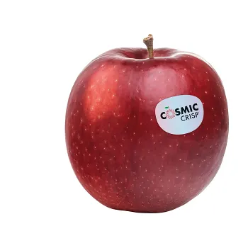 Äpple Cosmic Crisp ca 240g Klass 1.