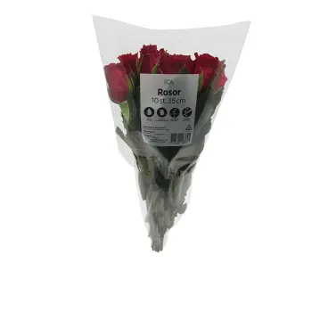 Rosor 10-p 35cm röda ICA.