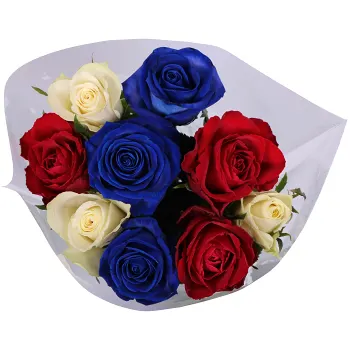 Rosor Midsommar 9-p 50cm blandade färger i buketten.