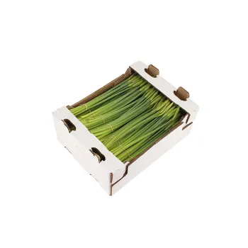 Påskliljor 10-p 28cm gul.