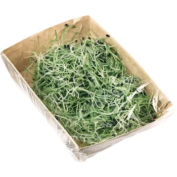 Vitlöksgroddar 50g Klass 1.