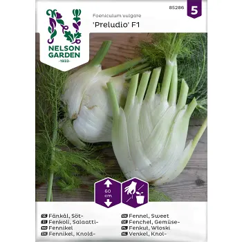Fänkål, Söt-, Preludio F1 Nelson Garden.
