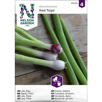 Lök, Pip-, Red Toga Nelson Garden.