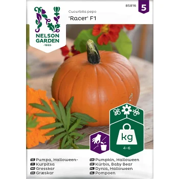 Pumpa, Racer F1 Nelson Garden.