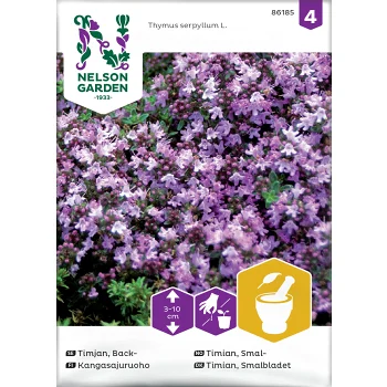 Timjan, Back- Nelson Garden.