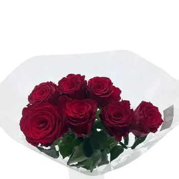 Rosor 7 pack röd 60 cm.