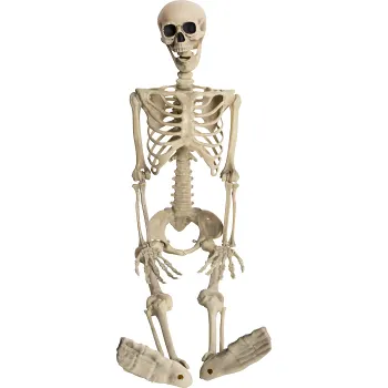 Skelett 90 cm Nordic Season.