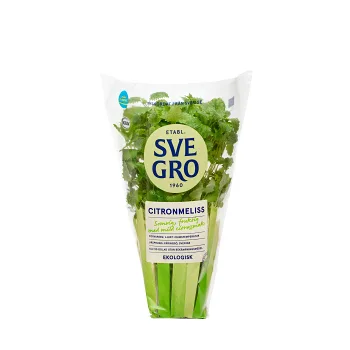 Citronmeliss i kruka Ekologisk 1-p KRAV Svegro.