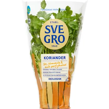 Koriander i kruka Ekologisk 1-p KRAV Svegro.