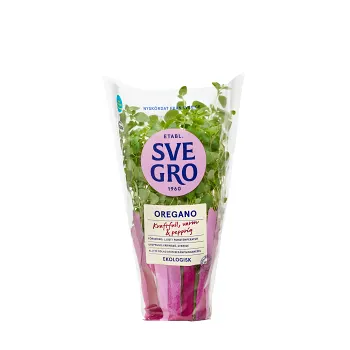 Oregano i kruka Ekologisk 1-p KRAV Svegro.