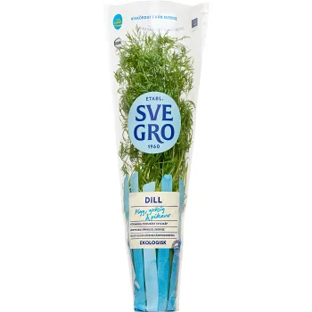 Dill i kruka Ekologisk 1-p KRAV Svegro.