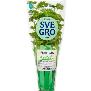 Persilja i kruka Ekologisk 1-p KRAV Svegro.