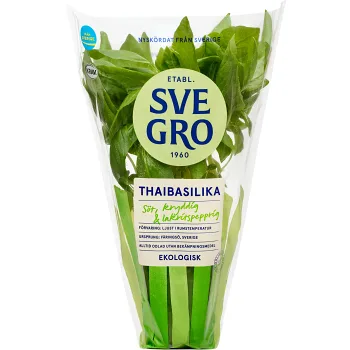 Thaibasilika i kruka Ekologisk 1-p KRAV Svegro.