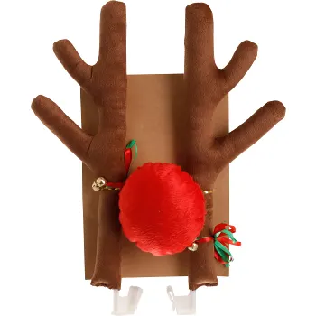 Renhorn och nos till bil Festive.