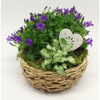 Arrangemang Korg Morsdag 22cm.