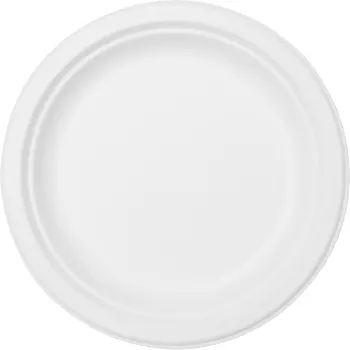 Engångstallrik Bagass Bio 10st Duni.