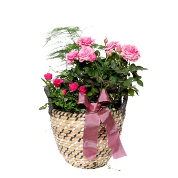 Stor Korg med rosa rosor 17cm.