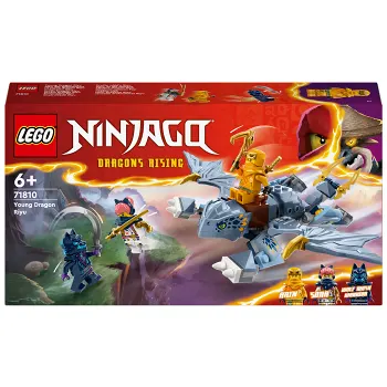 LEGO Ninjago Drakungen Riyu 71810.