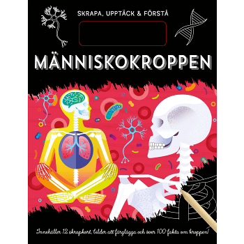Skrapa, upptäck &amp; förstå. Människokroppen.
