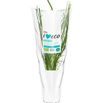 Gräslök i kruka Ekologisk 1-p KRAV Klass 1.