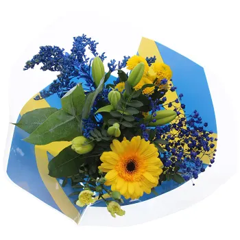 Bukett Student medium 50cm gul-blå.